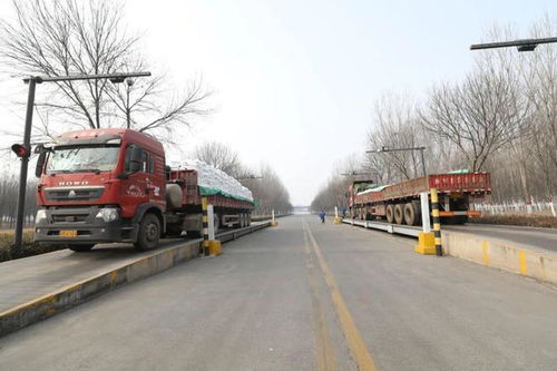 三方聯動，聚力前行 西王食品、西王集團與西王物流聯手出擊，暢通物流鏈條保障供應